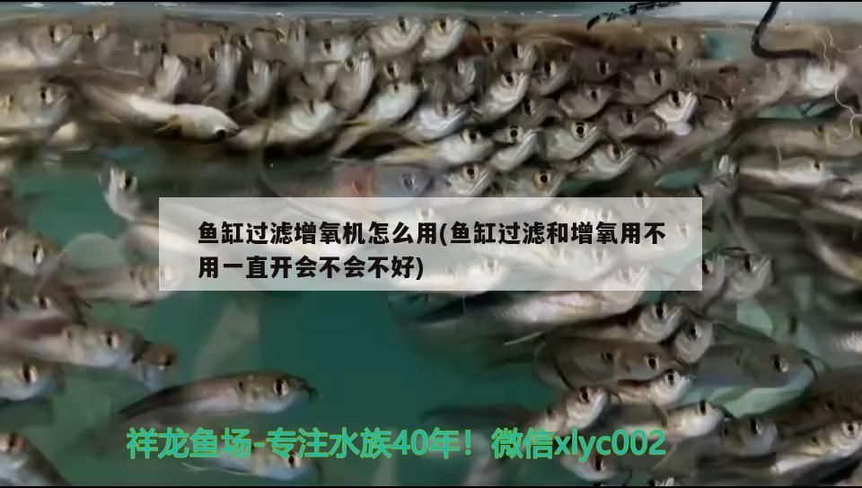 魚缸過濾增氧機怎么用(魚缸過濾和增氧用不用一直開會不會不好) 魚缸過濾增氧機怎么用(魚缸過濾和增氧用不用一直開會不會不好) 觀賞魚百科