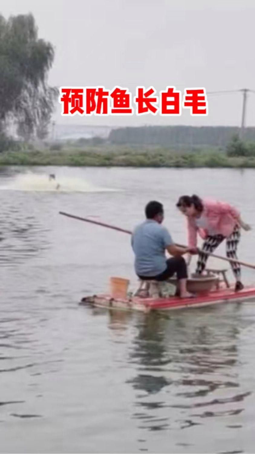 如何預防魚鱗片上長白色絮狀物？