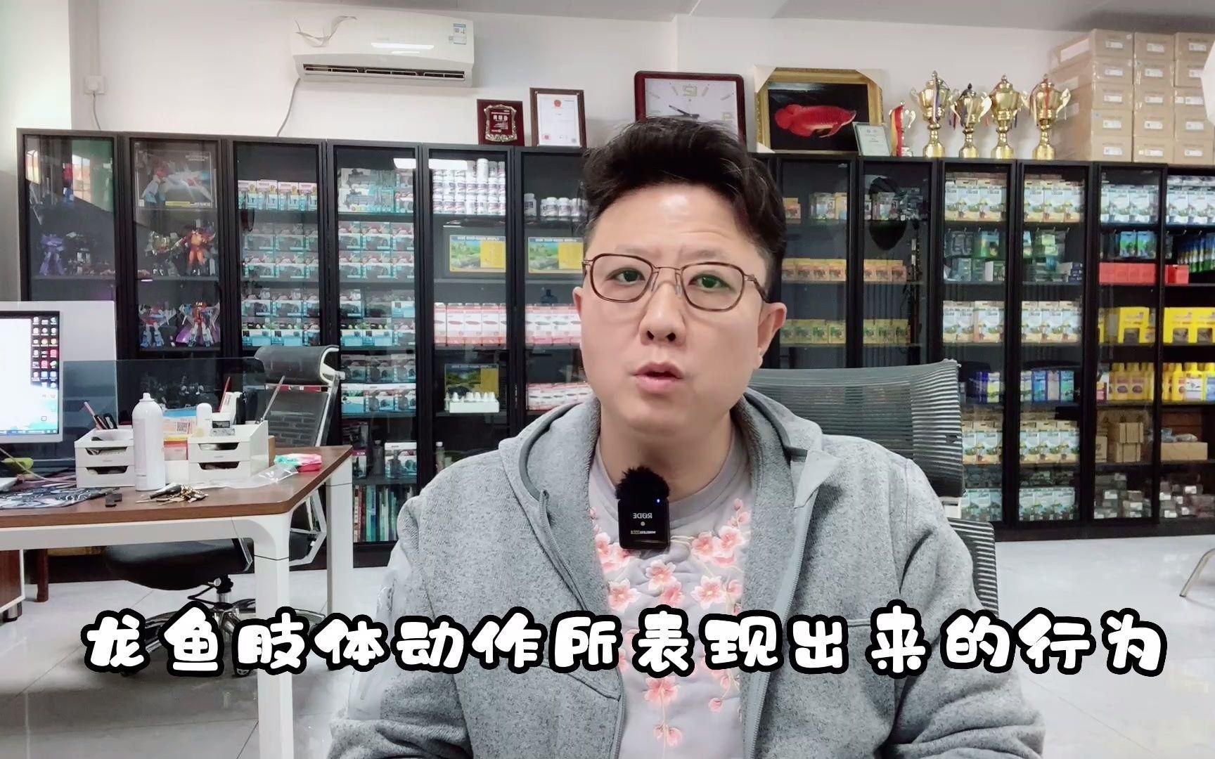 如何區分龍魚的正常行為和疾??？ 如何區分龍魚的正常行為和疾病？ 龍魚百科
