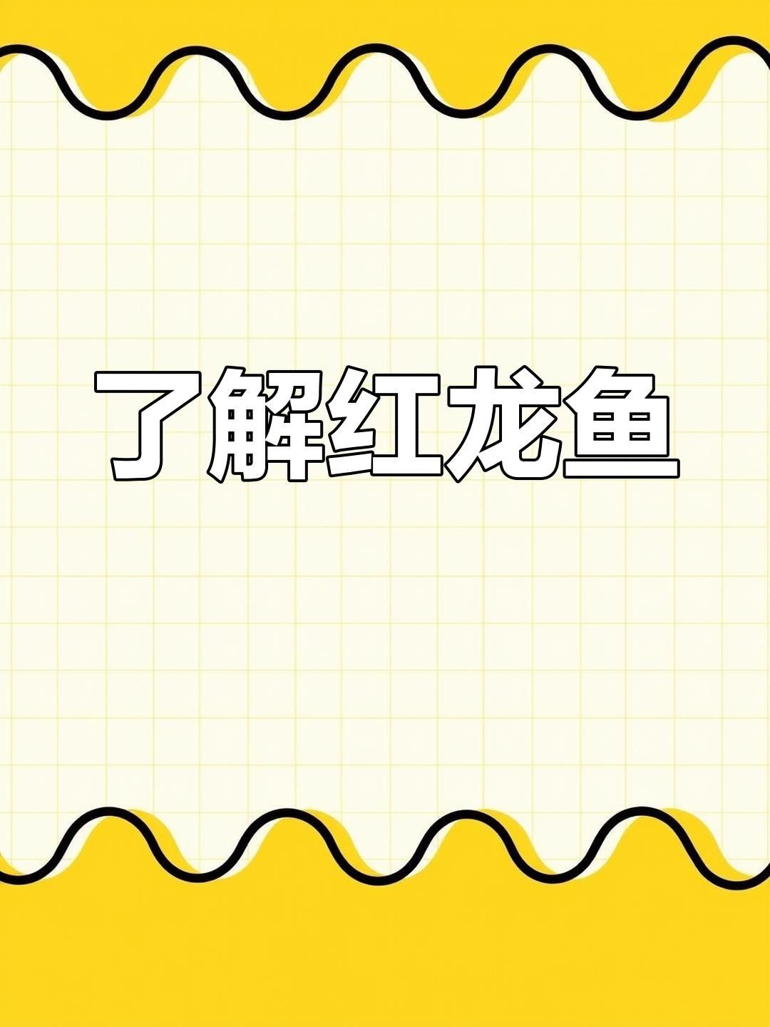 余江紅龍魚