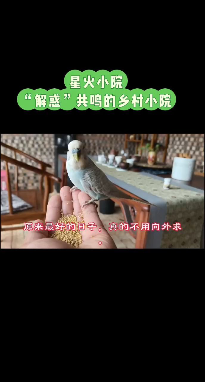 解惑共鳴的鄉(xiāng)村小院
