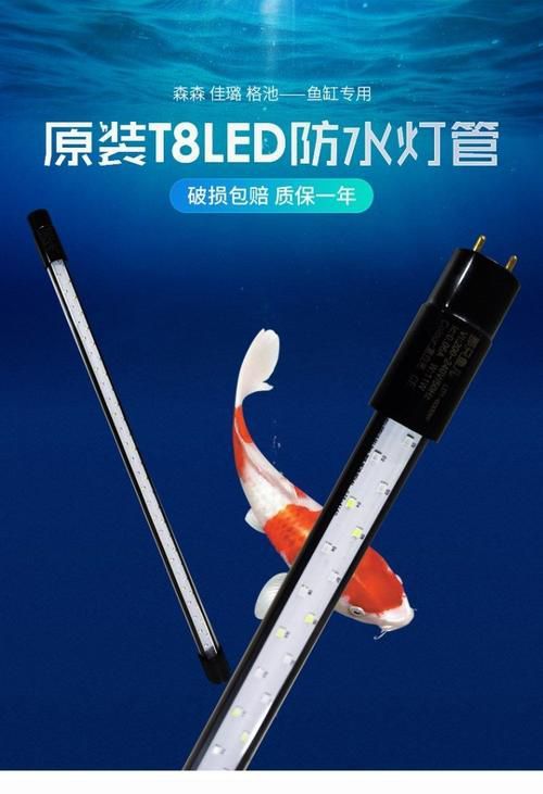 推薦幾款適合龍魚的燈光品牌