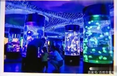 魚缸整面墻（如何將整面墻設計成魚缸）
