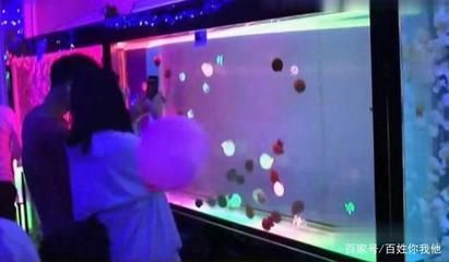 魚缸整面墻（如何將整面墻設(shè)計成魚缸）