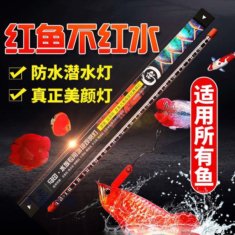 有哪些魚缸燈適合龍魚？