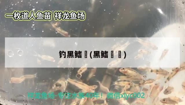 釣黑鰭鳈(黑鰭鳑鲏)