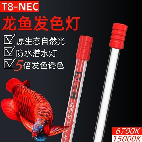 有哪些品牌的龍魚發(fā)色燈推薦？