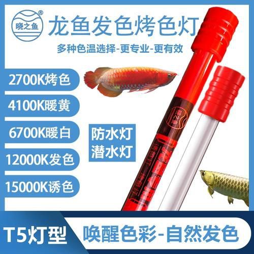 有哪些品牌的龍魚發(fā)色燈推薦？