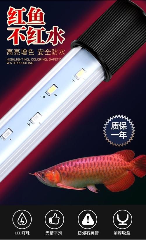 有哪些品牌的龍魚發(fā)色燈推薦？