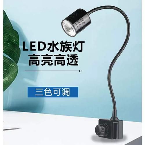 有哪些品牌的龍魚發(fā)色燈推薦？