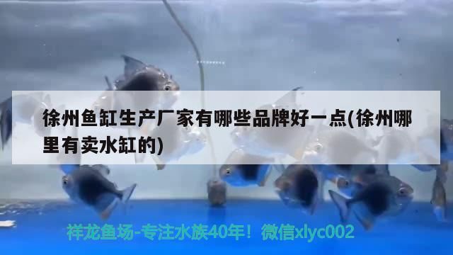 徐州魚缸生產廠家有哪些品牌好一點(徐州哪里有賣水缸的)