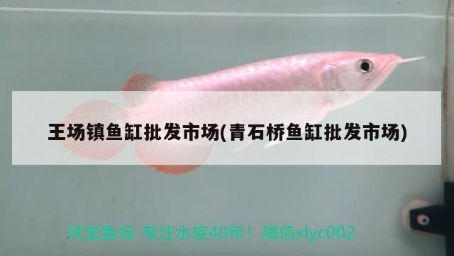 王場鎮魚缸批發市場(青石橋魚缸批發市場)
