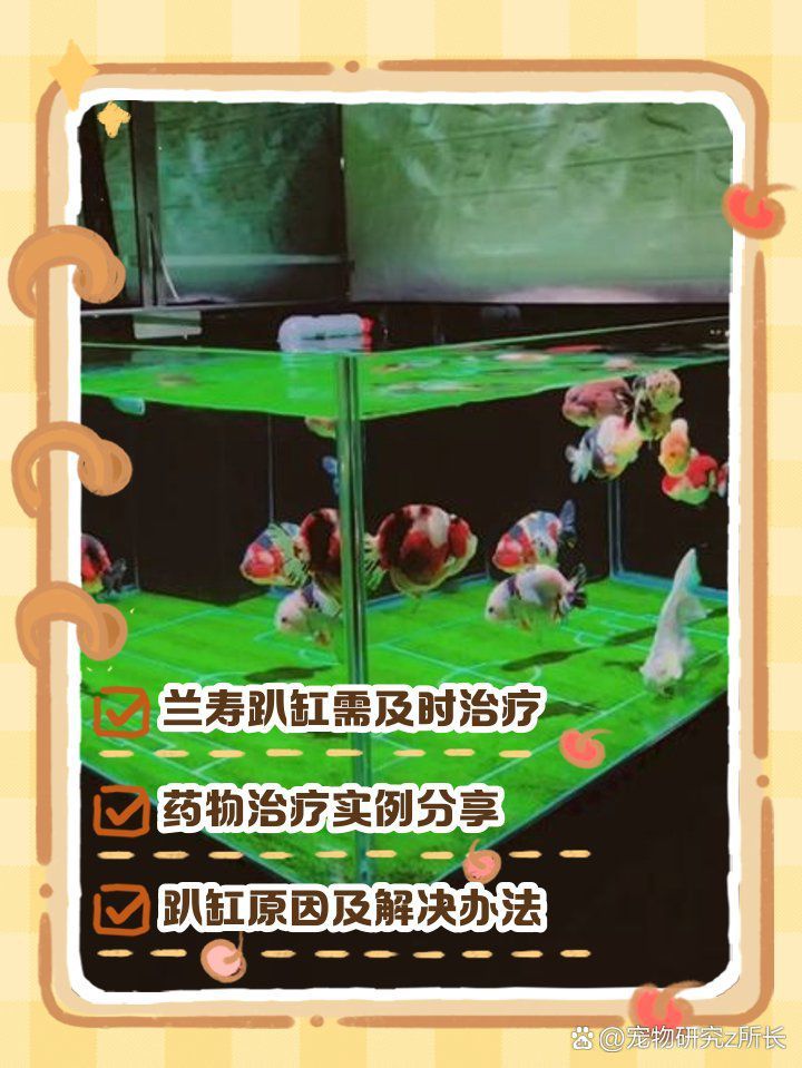 金魚趴缸底多久會恢復(fù)