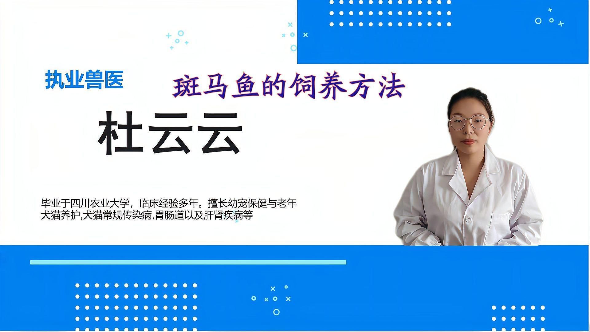哪些魚適合初學(xué)者養(yǎng)殖 哪些魚適合初學(xué)者養(yǎng)殖 龍魚百科 第4張