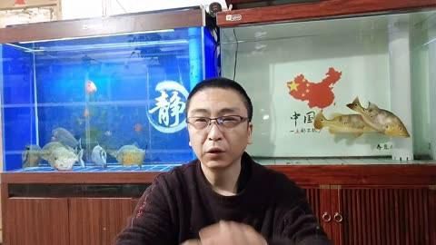 如何判斷金魚(yú)是否缺氧？ 如何判斷金魚(yú)是否缺氧？ 龍魚(yú)百科