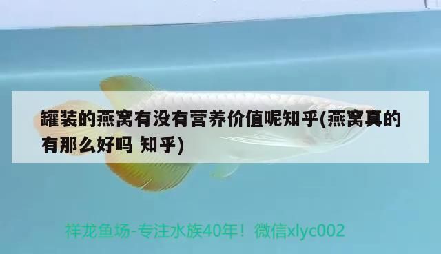 罐裝的燕窩有沒(méi)有營(yíng)養(yǎng)價(jià)值呢知乎(燕窩真的有那么好嗎知乎)