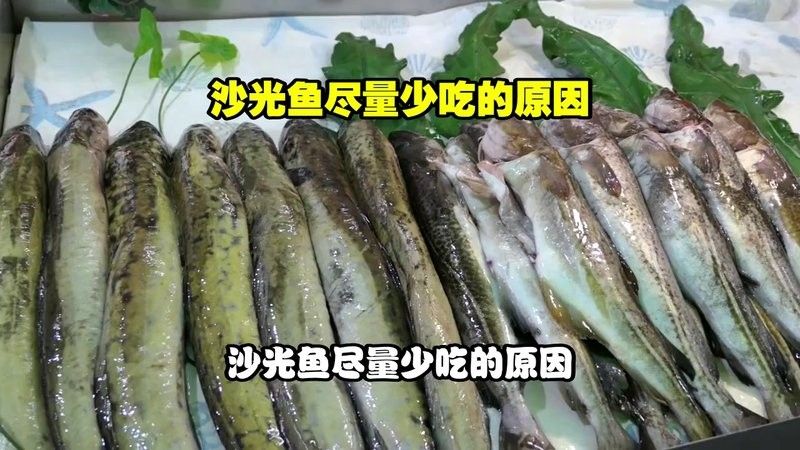 沙光魚盡量少吃的原因