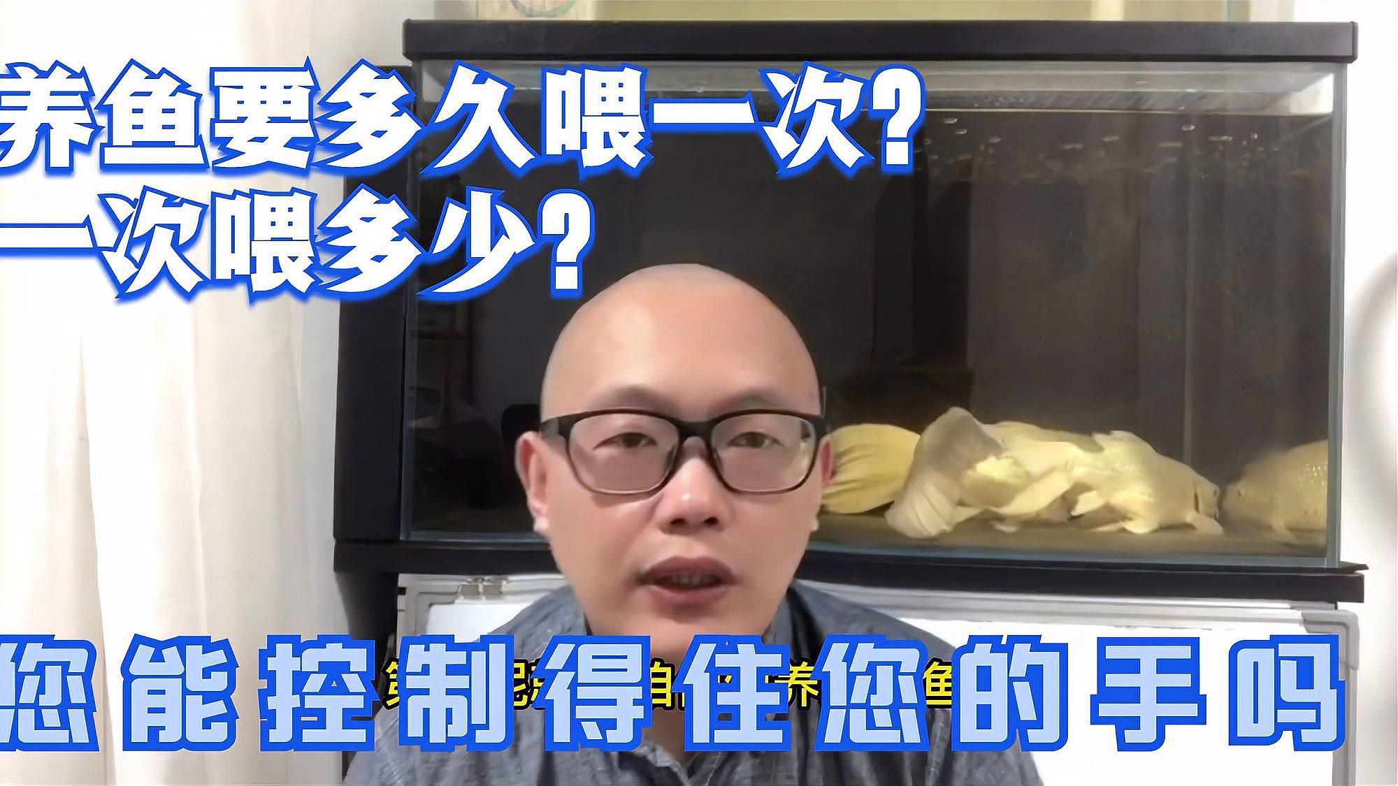 魚多久喂一次合適？
