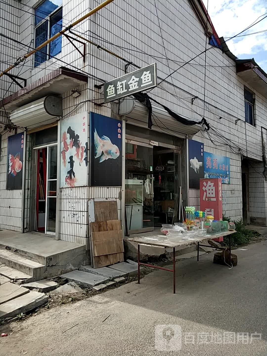 曹縣哪里有賣金魚的