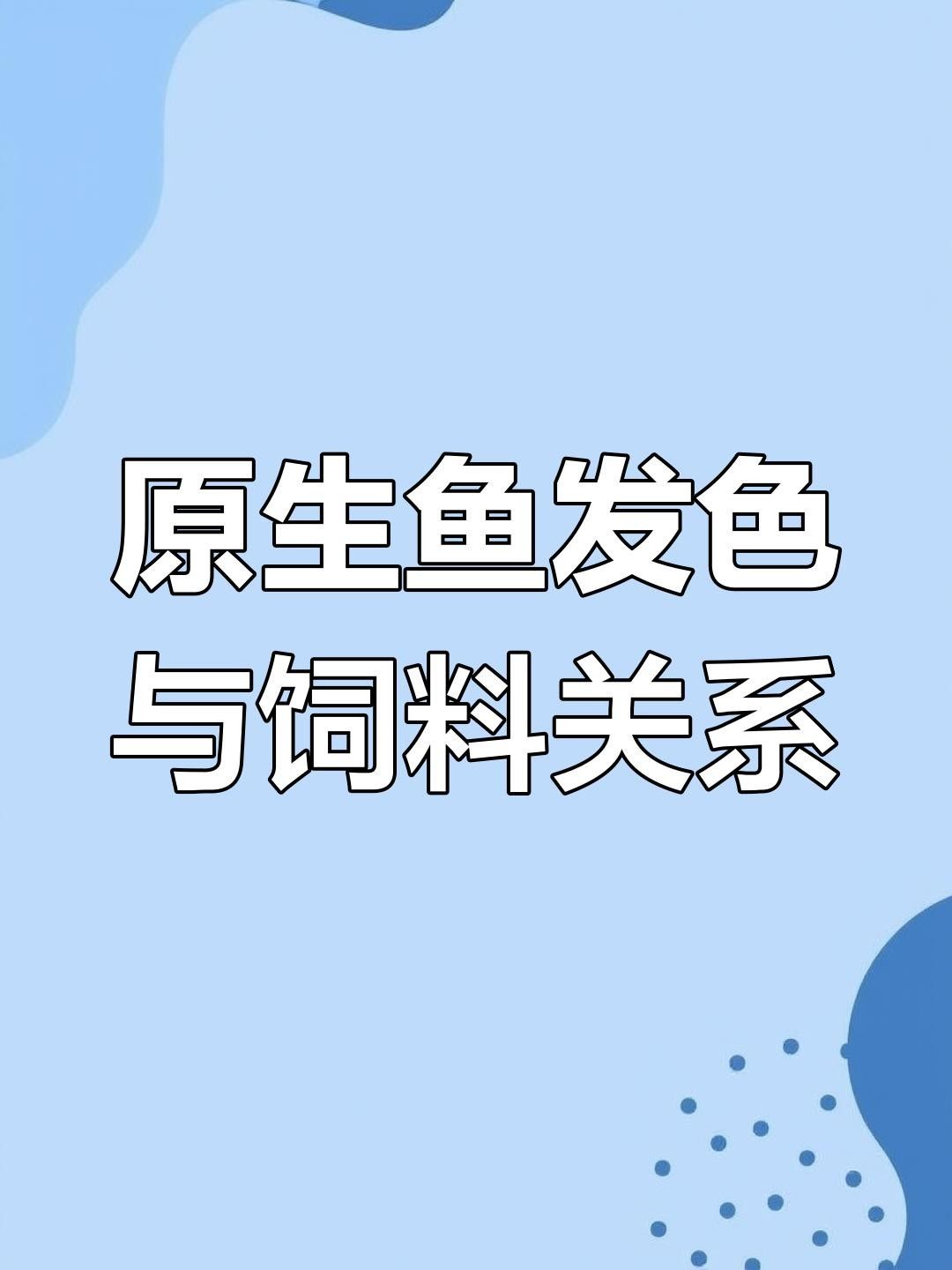 增色飼料對魚好不好