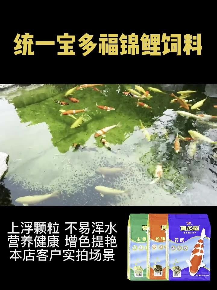 增色飼料對魚好不好