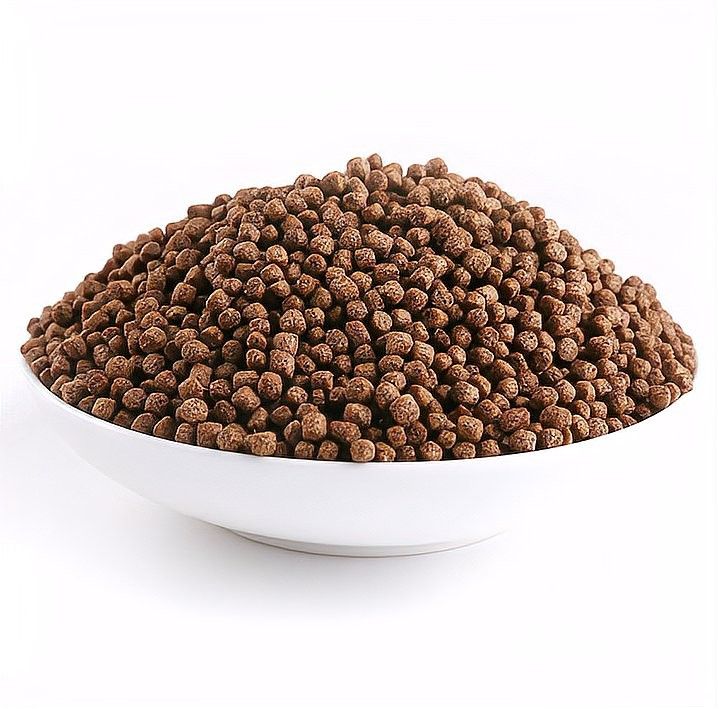 增色飼料對魚好不好