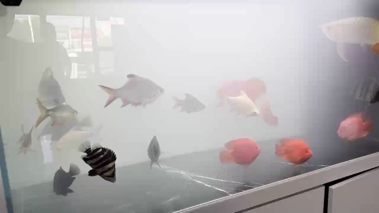 仙氣飄飄…