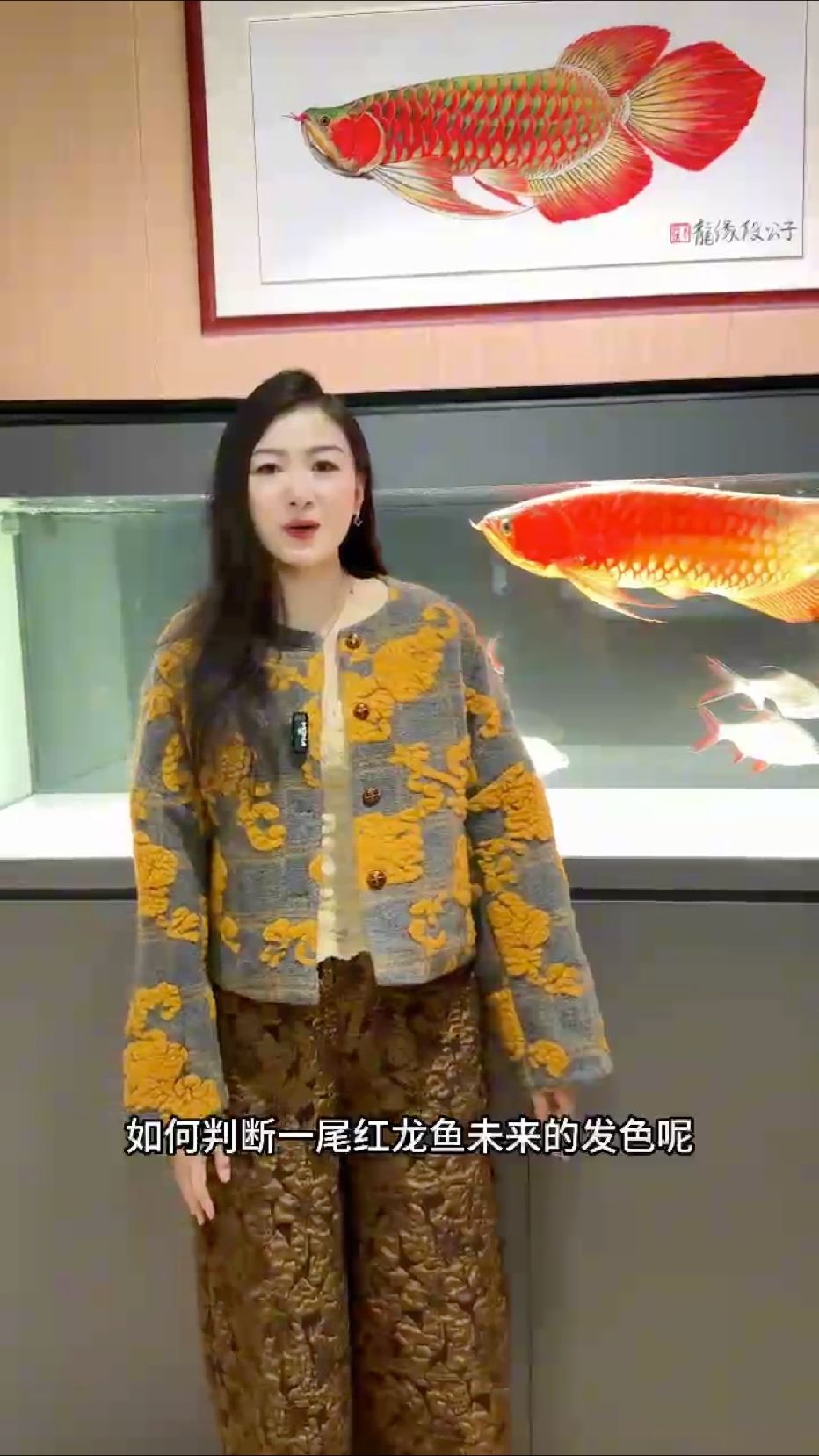 魚缸造景先放沙還是先放水(魚缸造景先鋪沙還是先放石頭) 你培養的紅龍魚苗子選對了嗎?#萬隆天王紅龍#龍魚#紅龍#觀賞魚#養魚日記 龍魚論壇 你培養的紅龍魚苗子選對了嗎?#萬隆天王紅龍#龍魚#紅龍#觀賞魚#養魚日記 你培養的紅龍魚苗子選對了嗎?#萬隆天王紅龍#龍魚#紅龍#觀賞魚#養魚日記 龍魚論壇