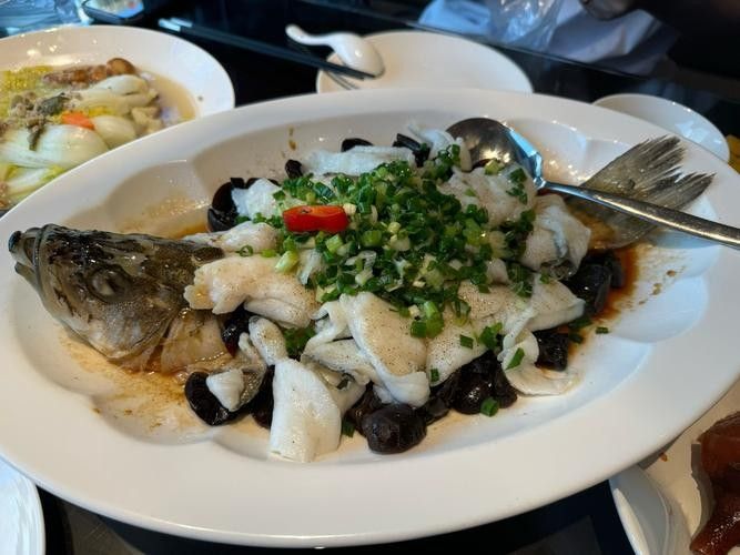 小品牌魚有哪些