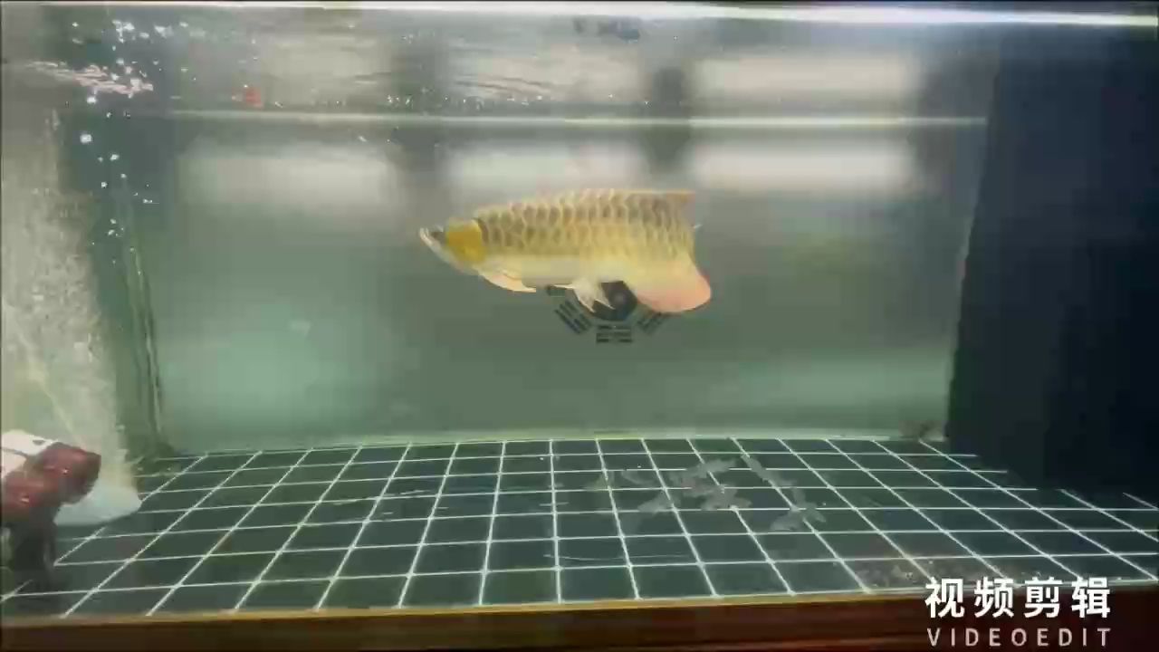 偏財入宅