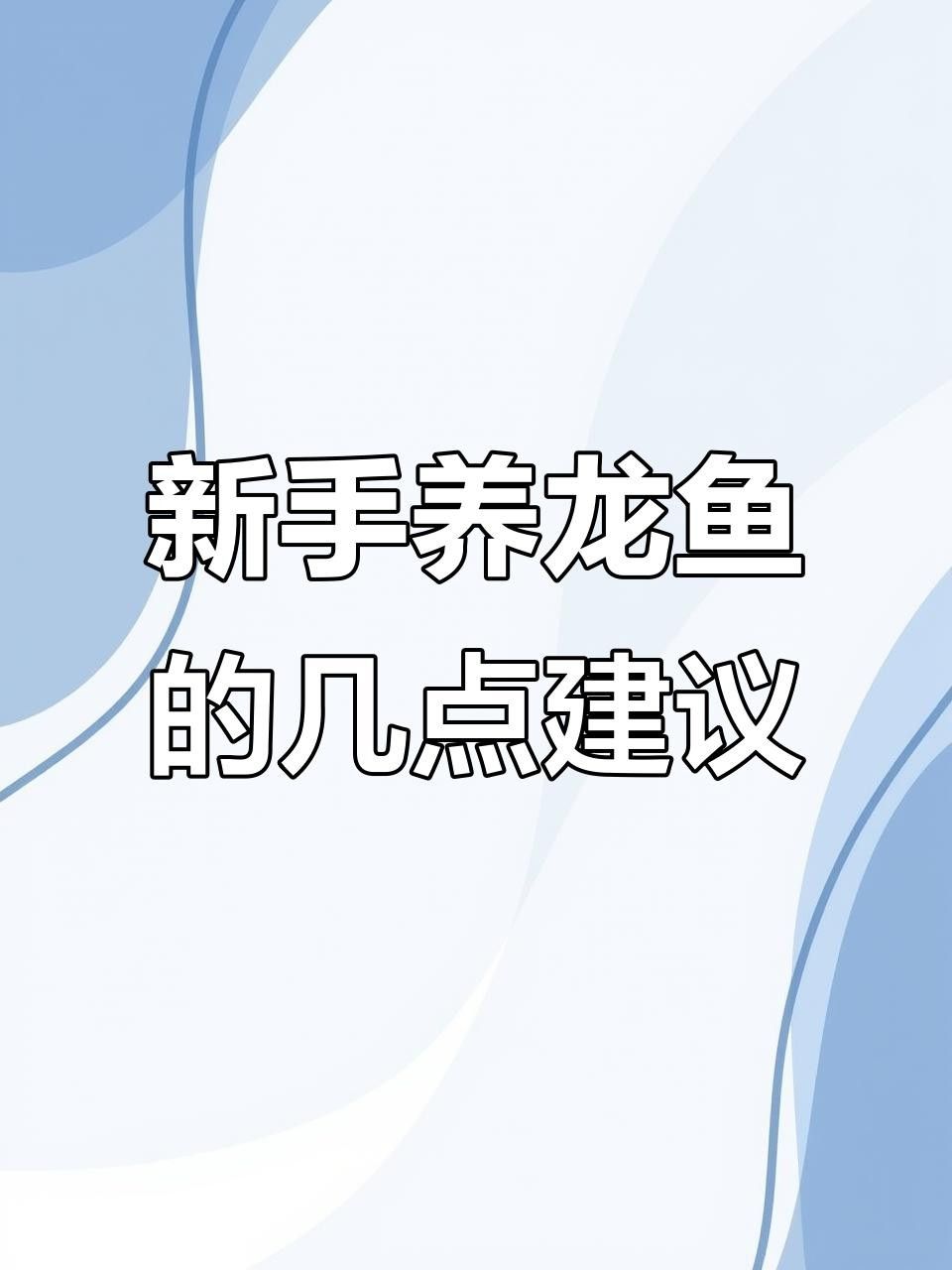 龍魚苗怎么養才能活