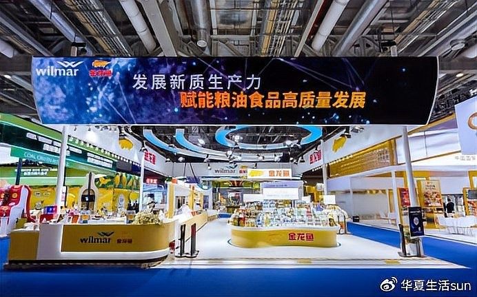 新城金龍魚屬于什么檔次