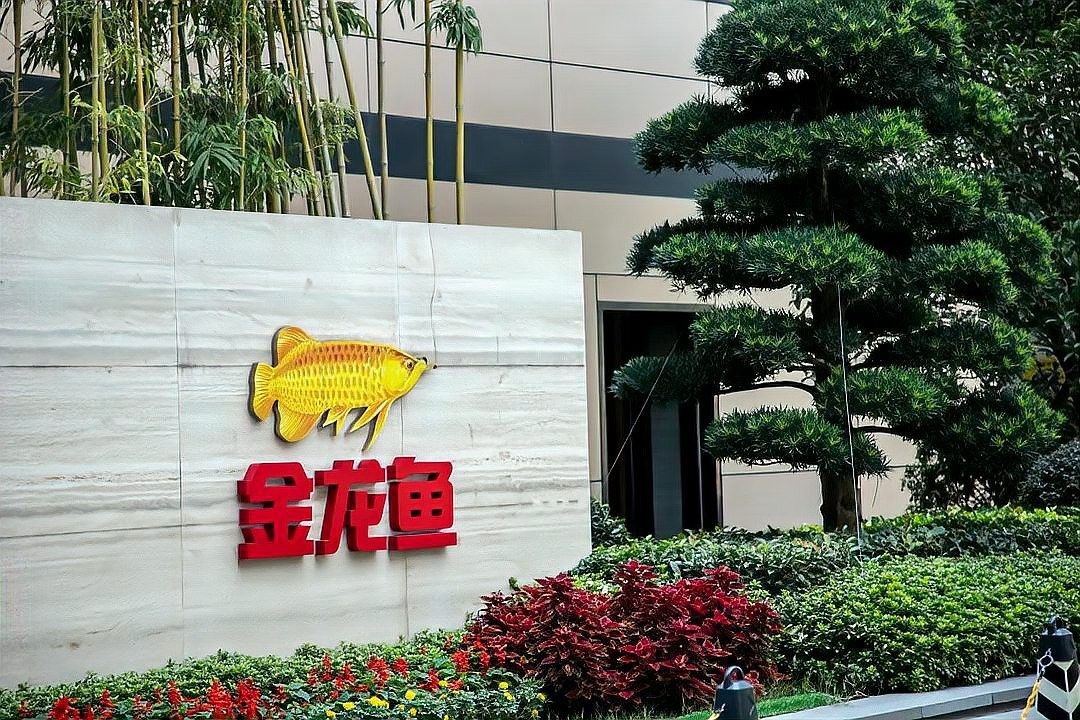 廊坊金龍魚養(yǎng)殖基地的簡介和歷史背景介紹