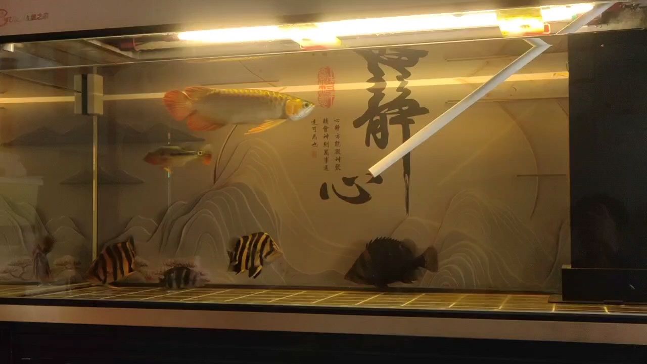 換水，打卡