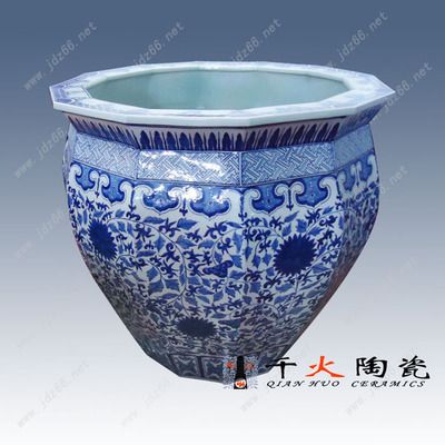 紅龍魚為什么比金龍魚貴呢圖片大全（紅龍魚為什么比金龍魚貴呢圖片大全大圖）