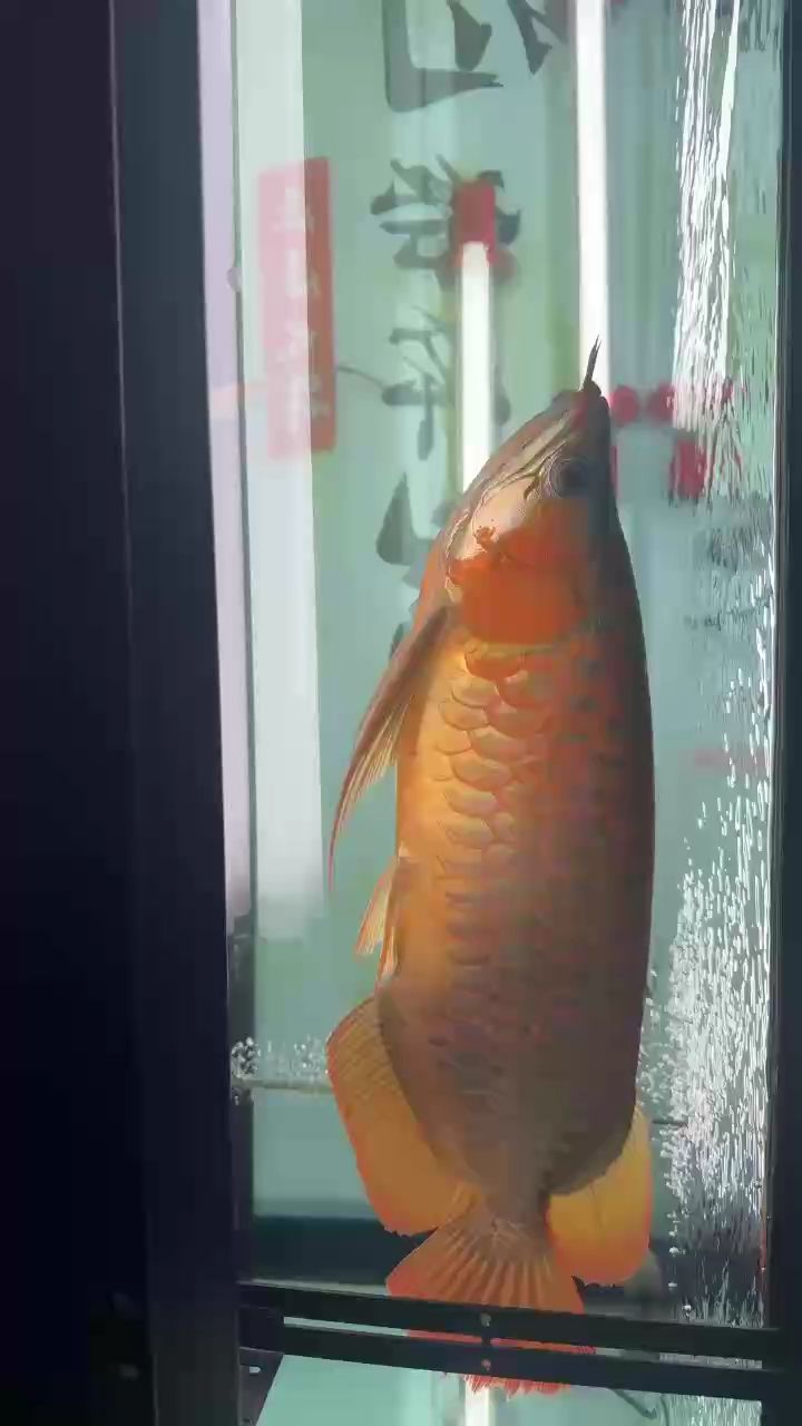 天冷了，側(cè)燈搞起