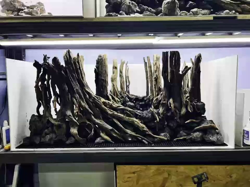 開缸過程