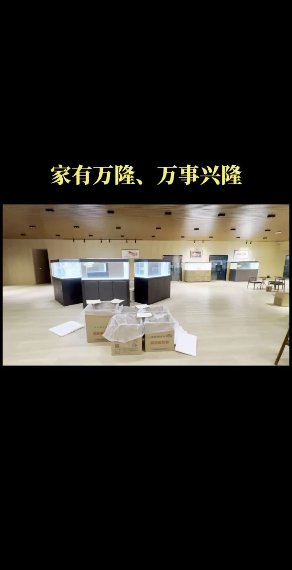 感謝全國魚友朋友們的支持
本批次新貨今日首發[嘿哈][嘿哈][嘿哈]
家有萬隆、萬事興隆[跳跳][煙花][紅包]
祝魚友們～養好魚行好運，發發發??
#萬隆天王紅龍 #紅龍 #龍魚 #觀賞魚