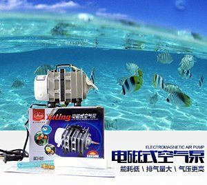 紫紅丁香能綁沉木上嗎？