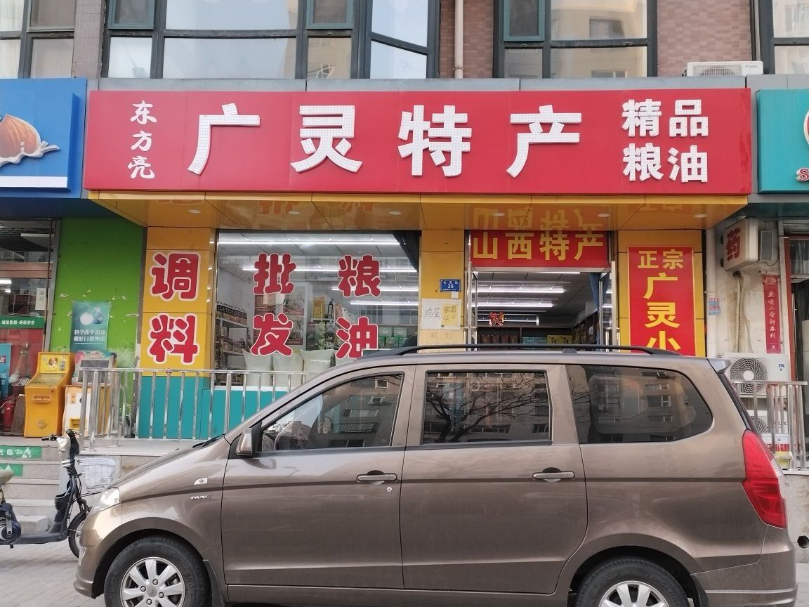 廣靈龍魚