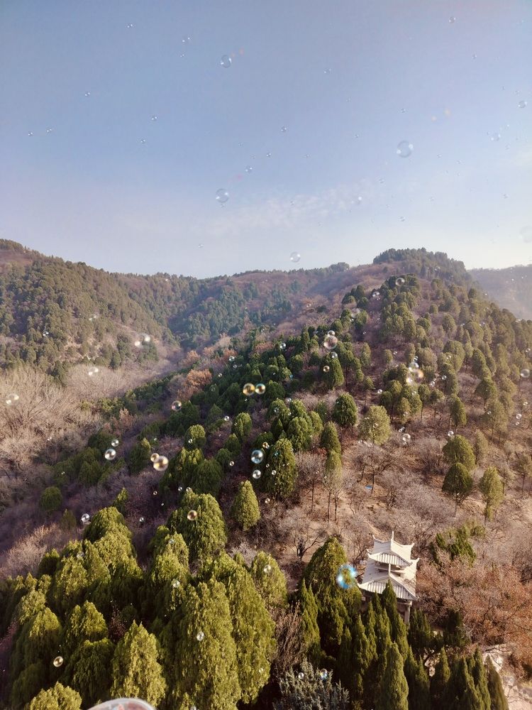 六角龍魚的飼養方法和注意事項(六角龍魚如何養好六角龍魚視頻教學) 觀賞魚百科 第3張 六角龍魚的飼養方法和注意事項(六角龍魚如何養好六角龍魚視頻教學) 六角龍魚的飼養方法和注意事項(六角龍魚如何養好六角龍魚視頻教學) 觀賞魚百科 第3張
