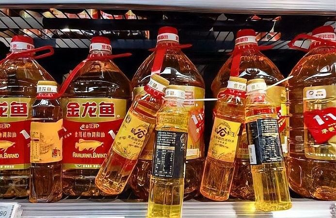金龍魚是什么？（赤水金龍魚是什么品牌） 金龍魚是什么？（赤水金龍魚是什么品牌） 觀賞魚百科 第11張