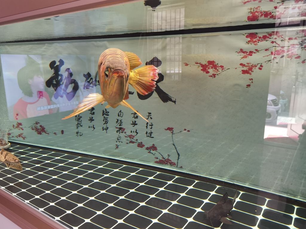 全球變暖對農業的影響隨著全球氣溫的持續升高，農業領域正面臨挑戰（全球變暖對農業的影響）