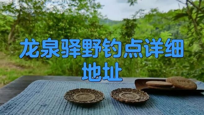 成都龍泉釣魚的最佳季節是什么時候龍泉釣魚的最佳季節是什么時候（成都龍泉釣魚地點推薦）