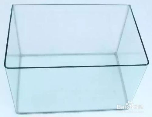 龍魚不愛動是怎么回事（養(yǎng)龍魚不愛動是怎么回事）