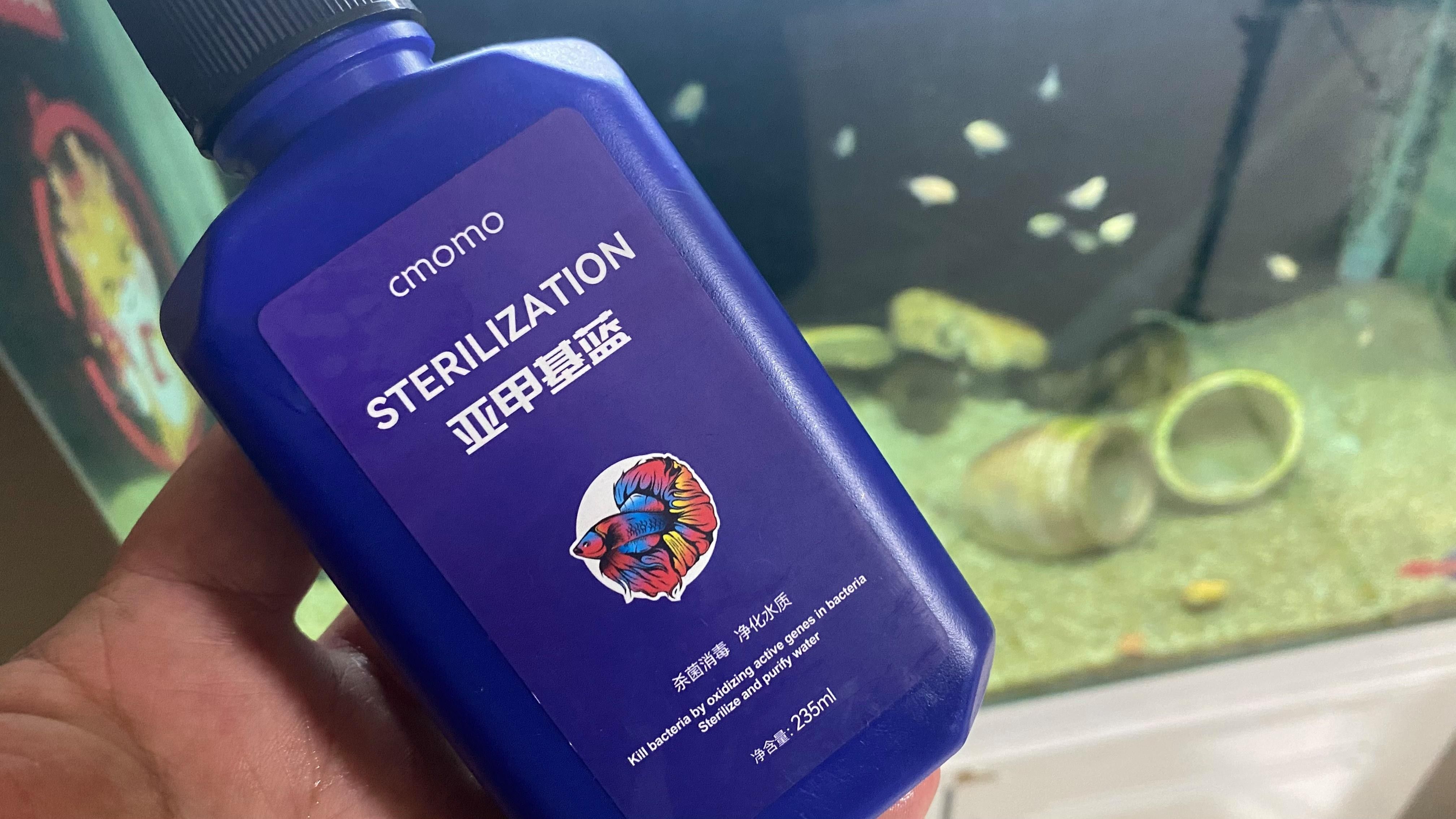 魚得水霉病怎么辦，預防與治療方法全解析（陳臘梅新手養魚必備亞甲基藍,治療魚水霉病最有效）