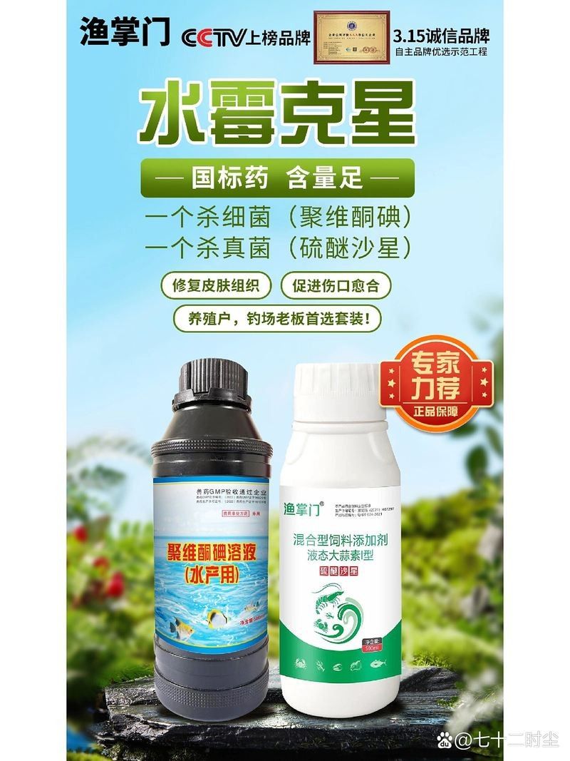 魚得水霉病怎么辦，預防與治療方法全解析（陳臘梅新手養魚必備亞甲基藍,治療魚水霉病最有效）
