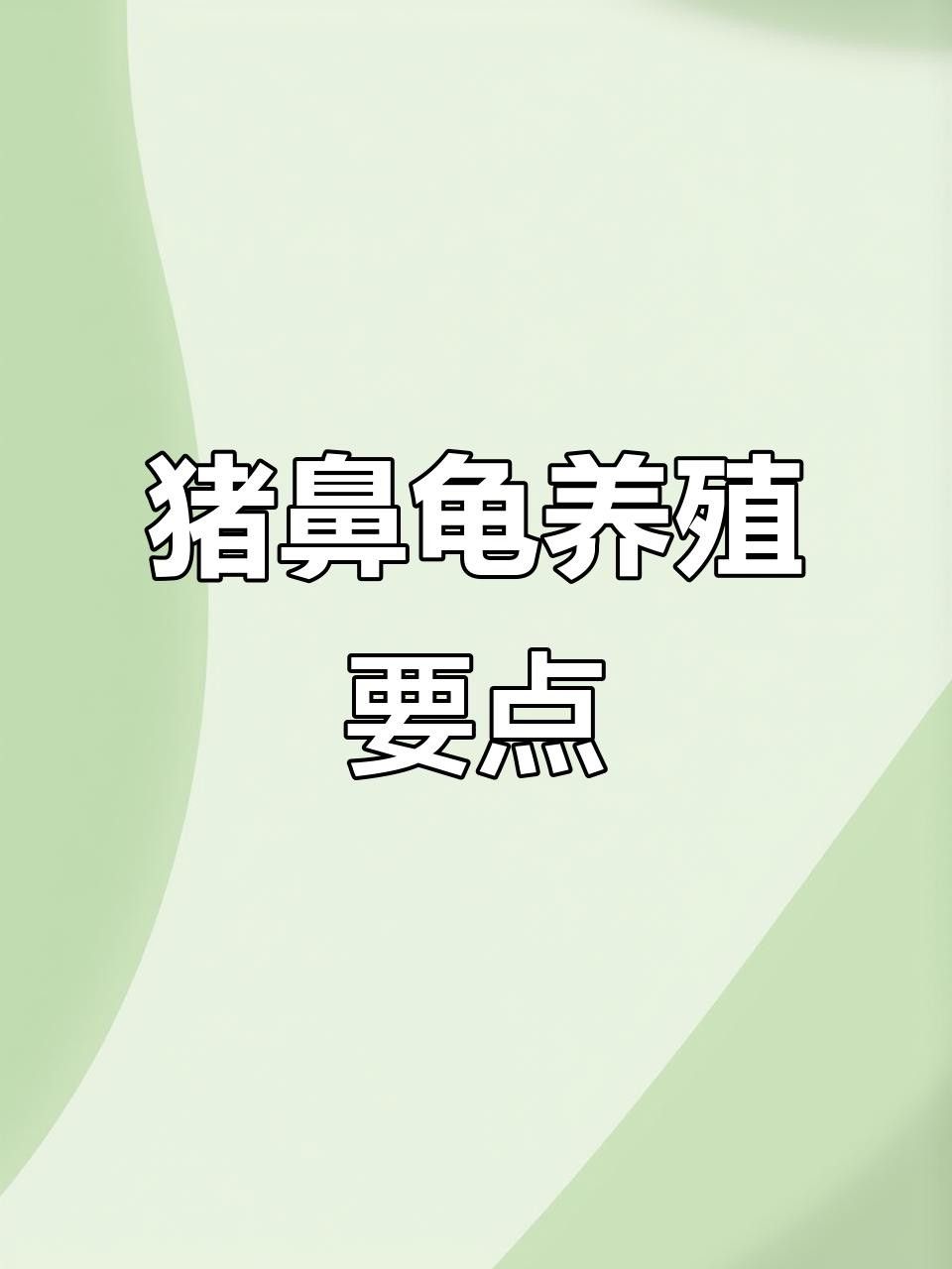 豬鼻龜的壽命有多長？（周五，豬鼻龜的“長壽秘訣”,你知道嗎）