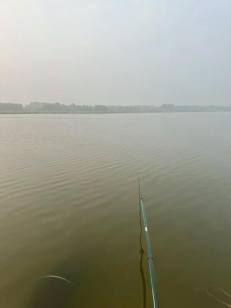 如皋龍游河釣魚實況分享（南通如皋網紅釣點大明龍游河釣點大明龍游河釣魚技巧分享）