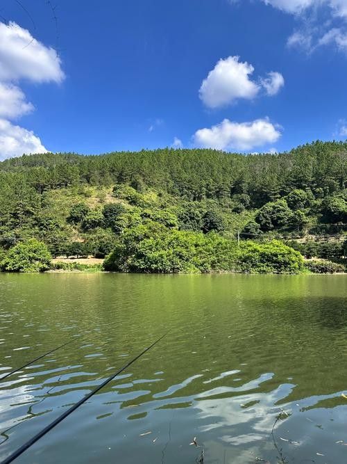 如皋龍游河釣魚實況分享（南通如皋網紅釣點大明龍游河釣點大明龍游河釣魚技巧分享）